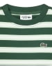 Lacoste Kids Shirt groen