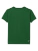 Lacoste Kids Koszulka w kolorze zielonym