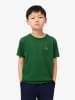 Lacoste Kids Koszulka w kolorze zielonym