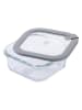 Fackelmann Vorratsdose in Transparent/ Grau - 800 ml