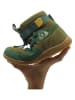lamino Leder-Barfußschuhe in Grün