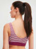 Calida Bustier in Pink/ Weiß
