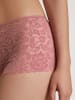 Calida Panty in Rosa
