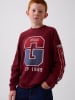 GAP Longsleeve bordeaux