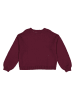 GAP Trui bordeaux