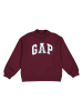 GAP Bluza w kolorze bordowym