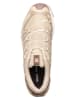 SALOMON Trailrunningschuhe "XA PRO 3D V9 GTX LIFELONG" in Beige