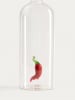 Homla Ölspender "Picaro" in Transparent/ Rot - (H)23 cm