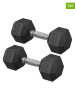 Songmics Hantle (2 szt.) w kolorze srebrno-czarnym - 2x 10 kg