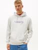 TOMMY JEANS Hoodie in Hellgrau