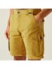 Regatta Funktionsshorts "Shorebay II" in Gelb