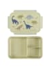 a little lovely company Lunchbox "Dinosaurs" kaki - (B)22 x (H)7 x (D)14 cm