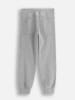 Coccodrillo Sweathose in Grau