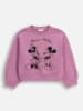 Coccodrillo Sweatshirt in Lila