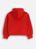 Coccodrillo Hoodie in Rot