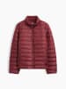 GAP Steppjacke in Bordeaux