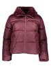 GAP Winterjacke in Bordeaux