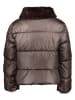 GAP Winterjacke in Dunkelbraun