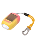 moses. Dynamo-Solar Taschenlampe "Fernweh" (Überraschungsprodukt)