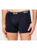 Hugo Boss Underwear 3er-Set: Boxershorts in Dunkelblau/ Blau