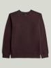 G-Star Sweatshirt bruin