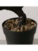 Boltze 2er-Set: Kunstpflanzen "Bonsai" in Grün - (B)18 x (H)22 cm