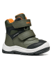 Geox Botki "Flanfil" w kolorze khaki