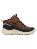Geox Sneakers "Simbyos" in Hellbraun/ Schwarz