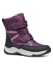 Geox Boots "Sentiero" paars