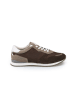 LLOYD Leder-Sneakers in Beige/ Braun