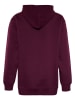 Blue Effect Hoodie in Rot