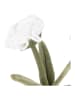 Villa d´Este Deurstopper ''Flower'' beige/wit - (L)30 cm