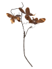 Villa d´Este Dekozweig ''Butterflies'' in Gold - (L)81 cm