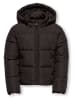 KIDS ONLY Winterjas "Juta" bruin