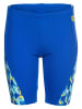 Arena Zwembroek blauw