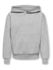 ONLY & SONS Junior Hoodie "Ceres" grijs