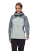 Mammut Funktionsjacke "Alto Guide HS" in Grau