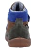 Richter Shoes Leren barefootschoenen "Samy" lichtbruin/blauw