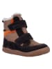 Richter Shoes Leder-Barfußschuhe "Samy" in Hellbraun/ Schwarz