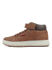 Levi's Kids Sneakers "Piper" in Hellbraun