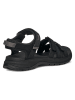 Teva Sandały trekkingowe "Tirra Sport" w kolorze czarnym