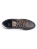 GAP Sneakers in Braun