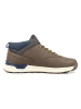 GAP Sneakers bruin