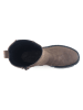 GAP Stiefeletten in Braun
