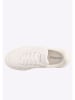 Lotto Sneakers in Creme