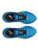 Under Armour Laufschuhe "Velociti Pace" in Blau