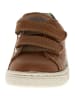 Naturino Leder-Sneaker "Hasselt 2" in Hellbraun