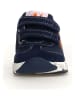 Naturino Leren sneakers "Jesko 2" donkerblauw