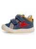 Naturino Leder-Sneaker "Belix" in Blau