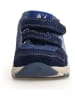 Naturino Leren sneakers "Jack" donkerblauw
